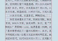 胆大人艺高高中800字作文,高中生的成长之路